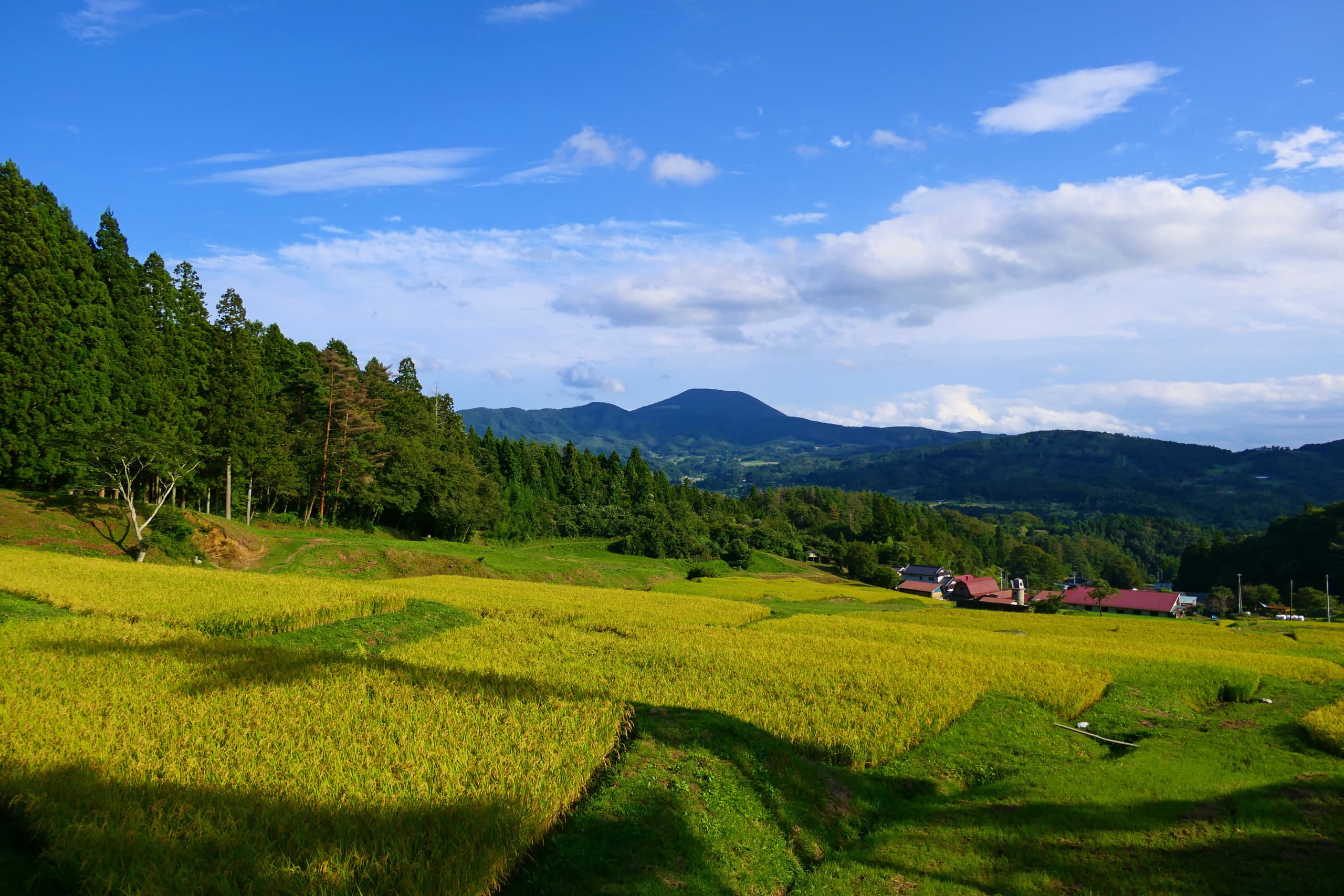 adobestock_281438807.jpg