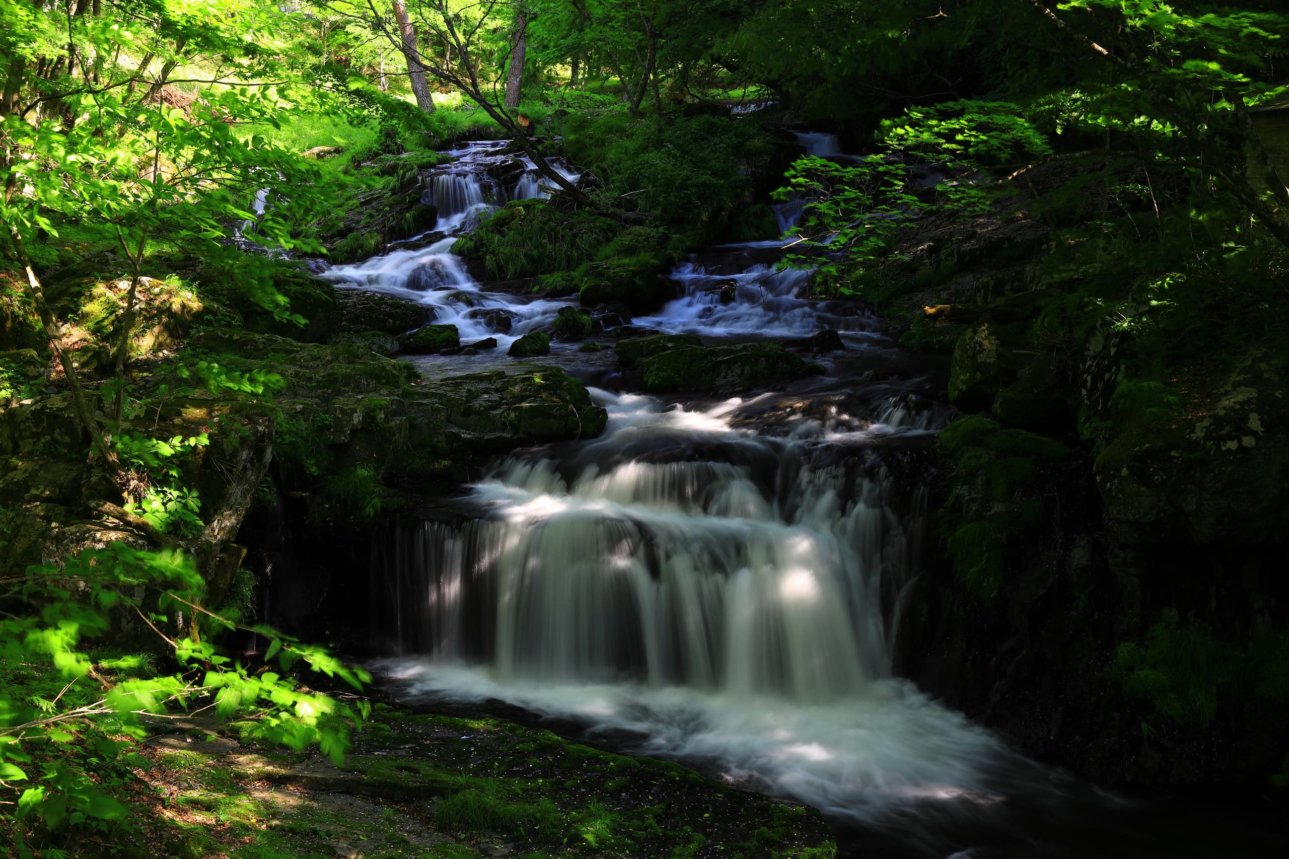adobestock_515617409.jpg